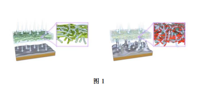 科研绘图.png