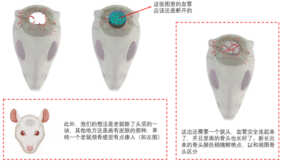 生物科研绘图.png