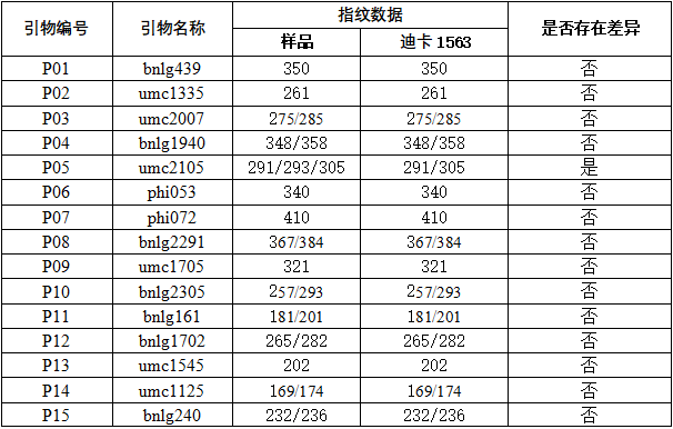 玉米种子检测.png