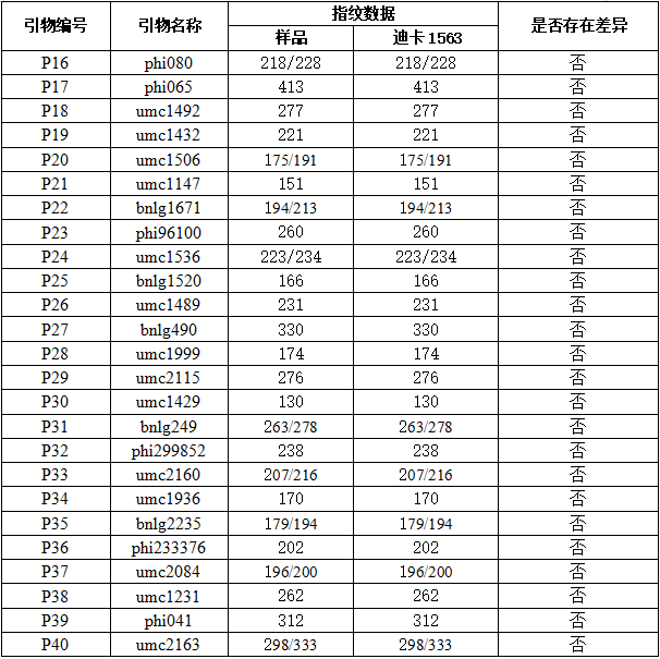 玉米种子检测.png