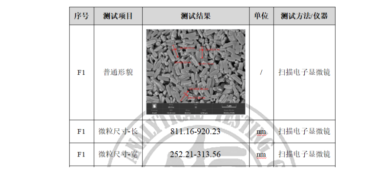 分子筛的SEM+BET测试.png