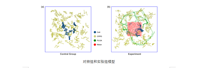 聚乳酸-羟基乙酸共聚物测试.png