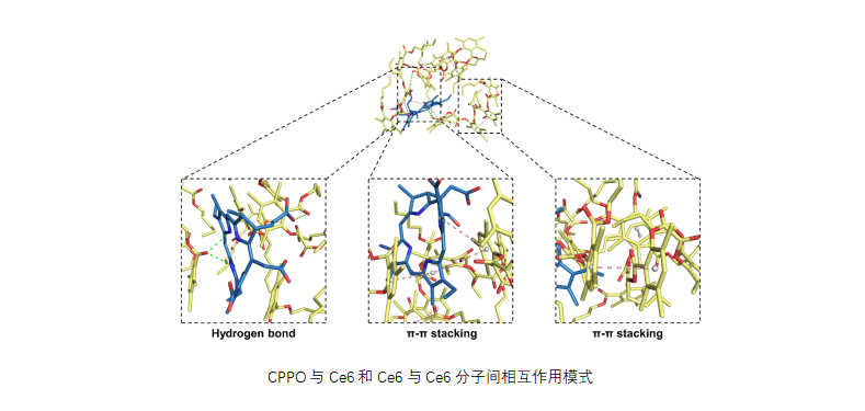 聚乳酸-羟基乙酸共聚物测试.png