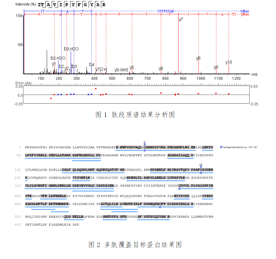 森歧酵素成分分析.png