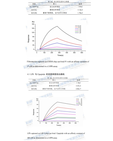 多肽蛋白检测.png