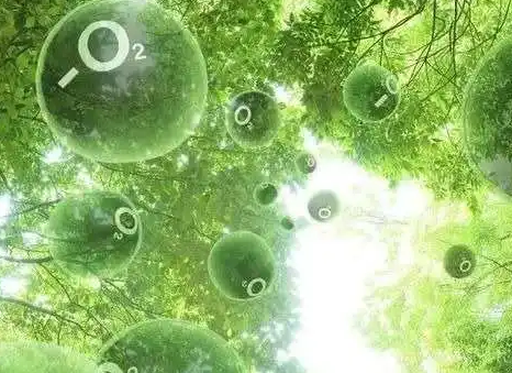离子含量检测.png