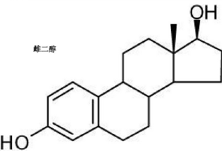 雌二醇检测机构.png