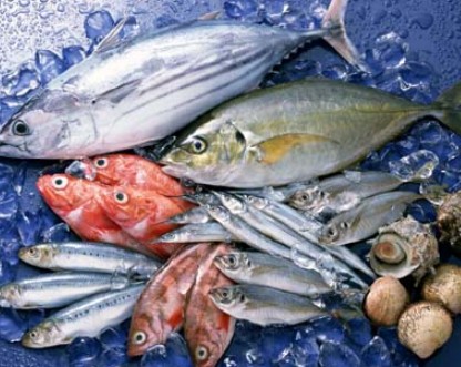 水產魚類.jpg