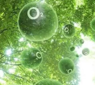 1761729234380218.jpg 负氧离子.jpg