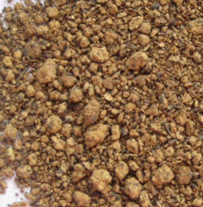 1765187011703991.jpg 菜籽粕.jpg