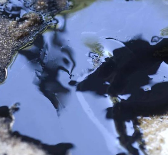 177365307539111.jpg 原油.jpg