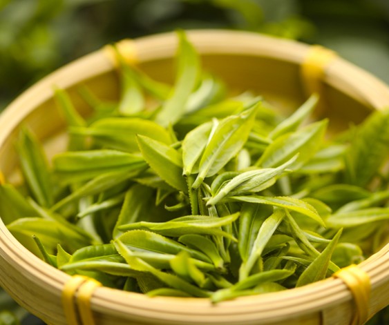 177382629188815.jpg 茶叶.jpg